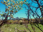 South San Juan Mountains