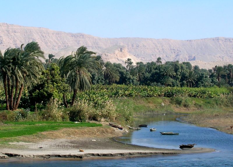 Banks of the Nile