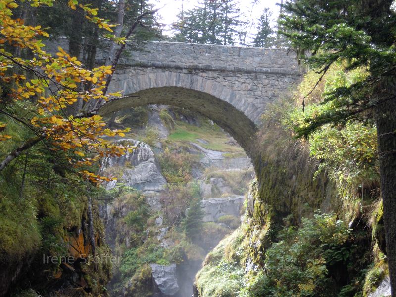 Pyrenees