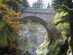 Pyrenees