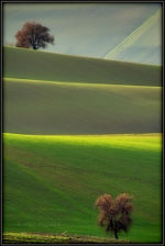 Gorgeous lighting on rolling Italian farmland