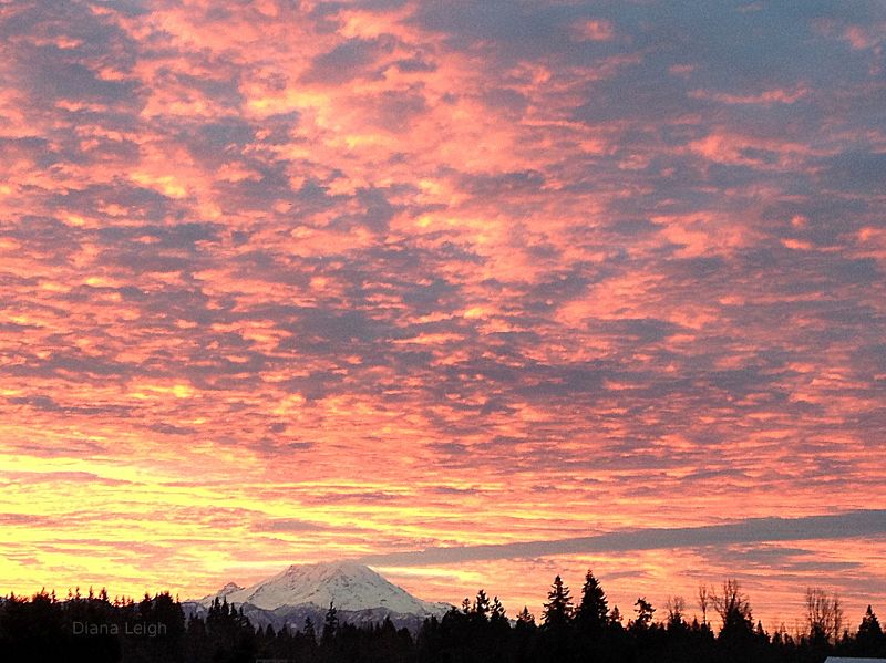 Mount Rainier in morning light