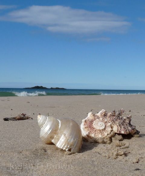 Sisters Beach Tasmania Australia