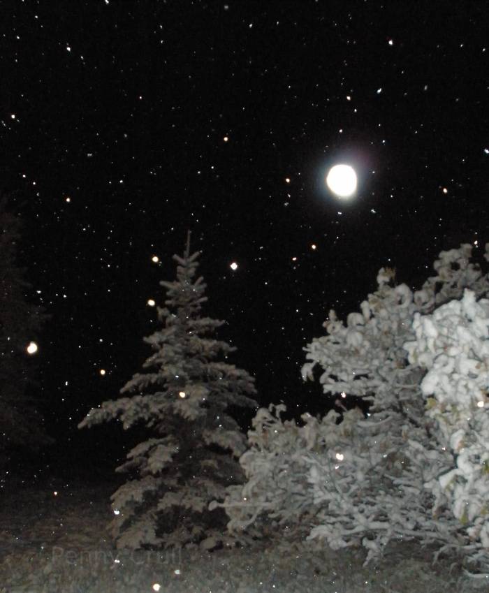 Snow in Pagosa Springs, CO