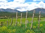 Ranch near Pagosa Springs, CO