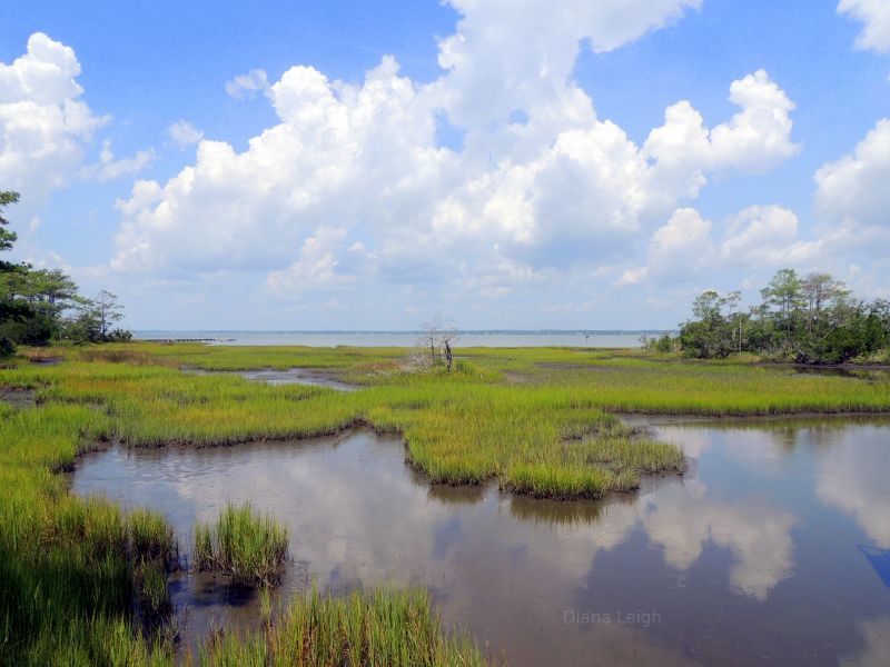 Clouds and water in North Carolina