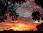 Gorgeous sunset over the Australian Outback