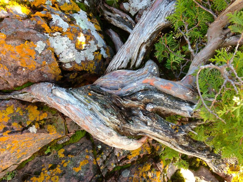 Tetteguche State Park, MN, Lake Superior