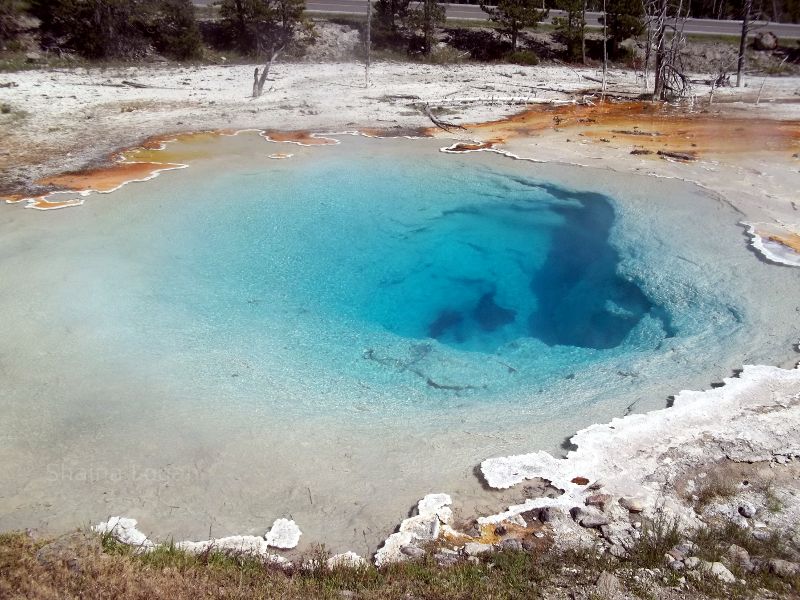 Mineral Pool in Yellowstone National Park