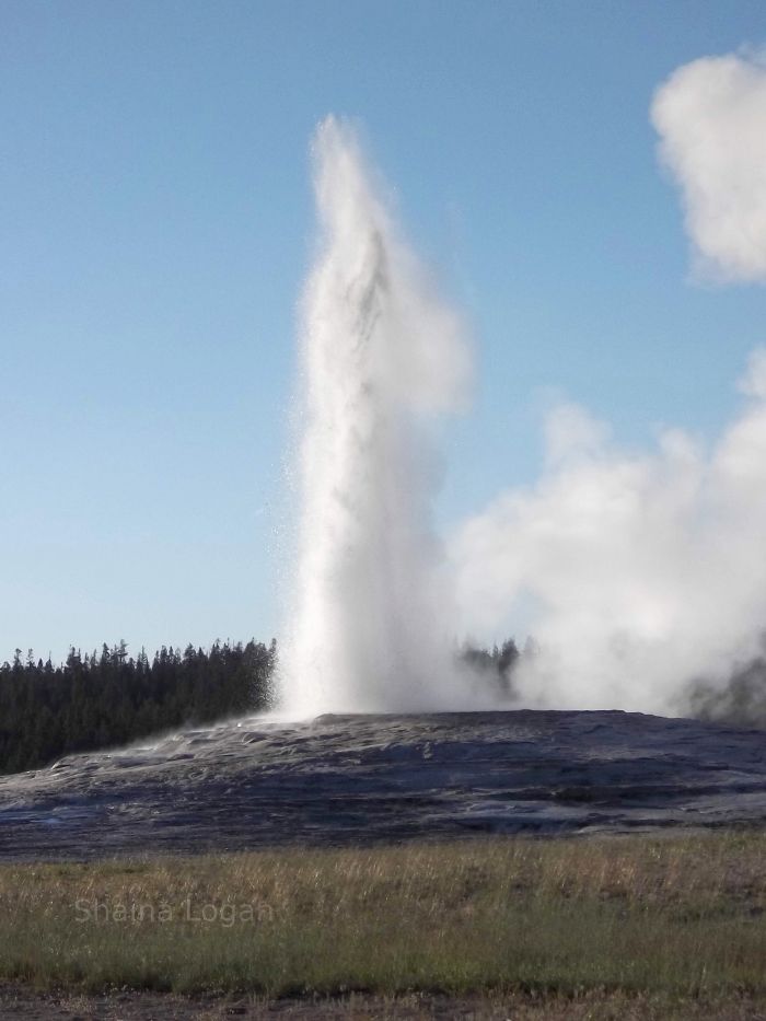 Old faithful geyser