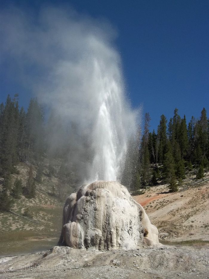 Yellowstone