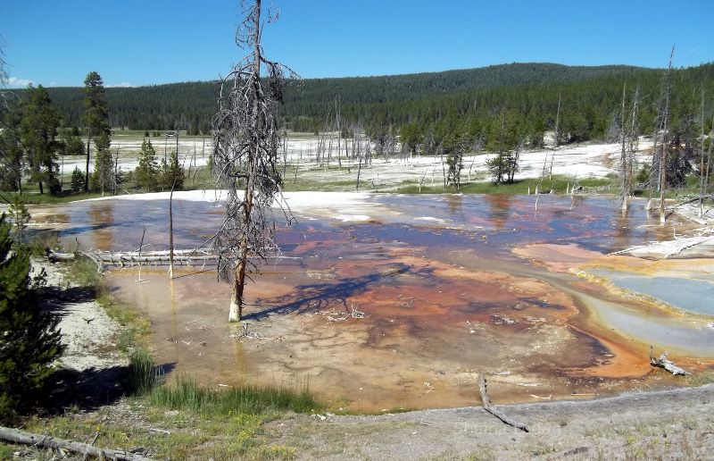 Yellowstone National Park