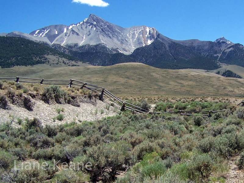 Idaho landscape