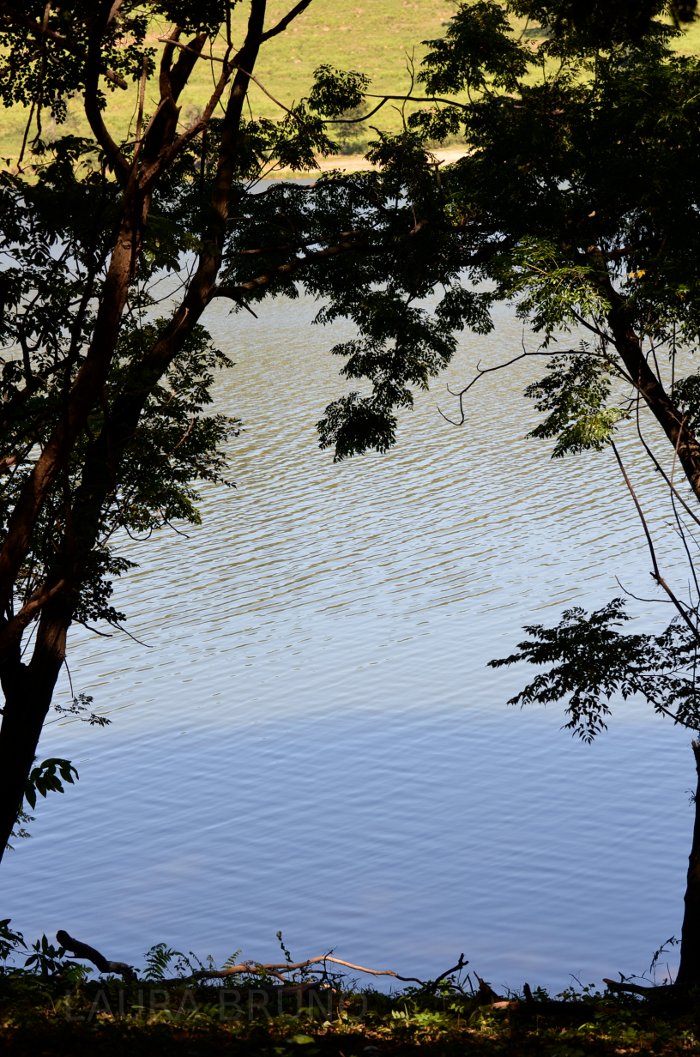 Peaceful spot in Brazil