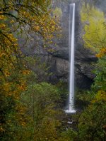 Seen along the Columbia River Gorge Highway