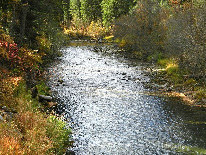 stream in the Rockies