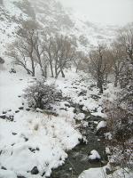 Winter mountain hike in the Alborz Mountains near Tehran