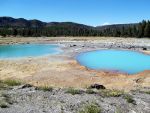 Mineral pool in yellowstone