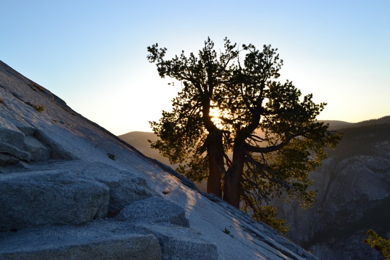 Hike up Half Dome at Yosemite National Park