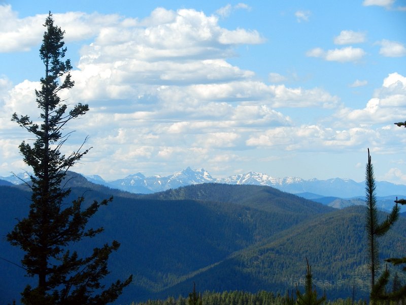 Cabinet Mountains