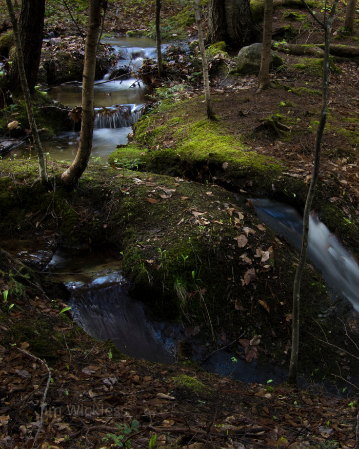 A creek in a Maine forest.