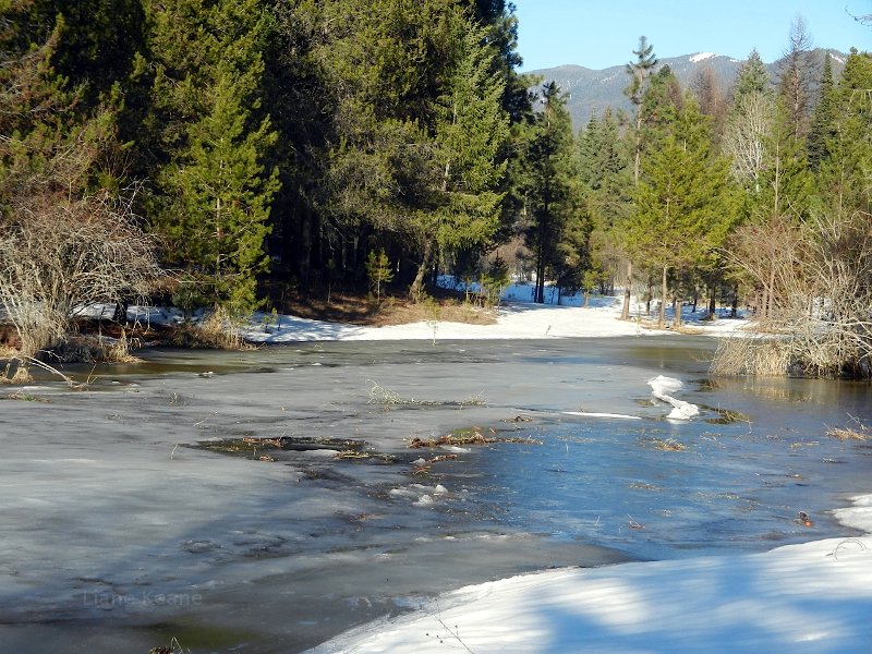 Snow and ice covered pond in Montana