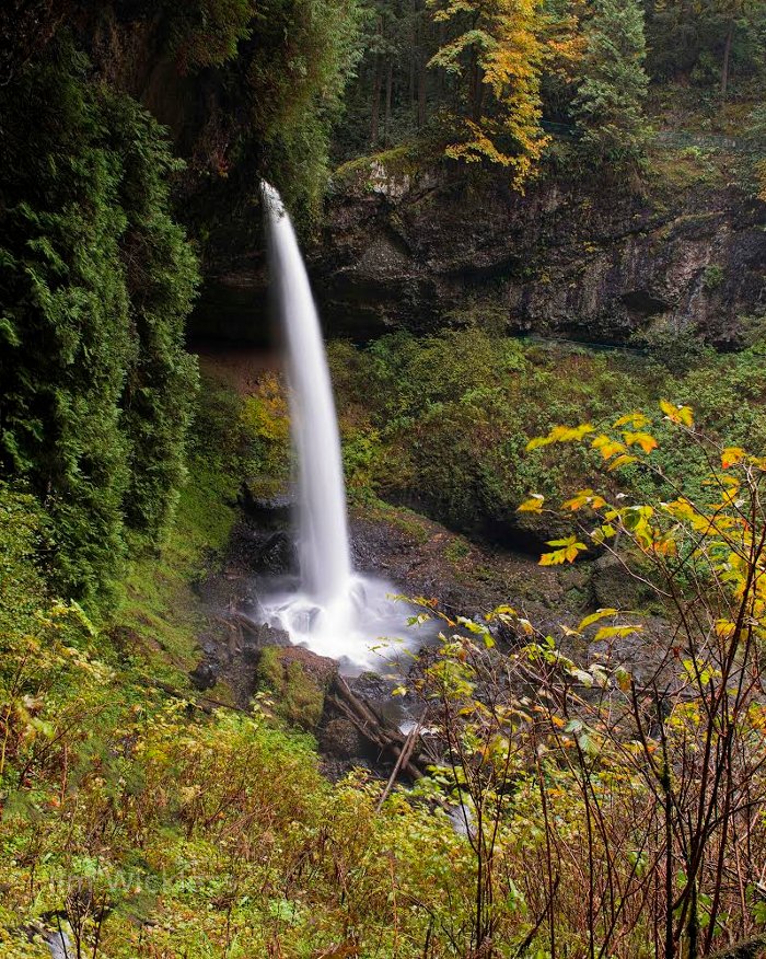 Silver Falls State Park, Oregon