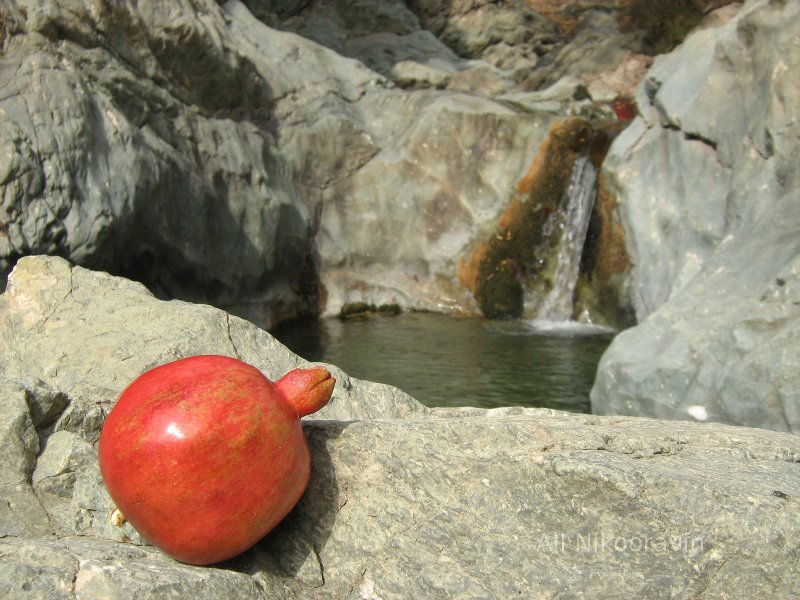 Pomegranates in Iran