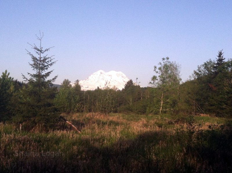 Mount Rainier