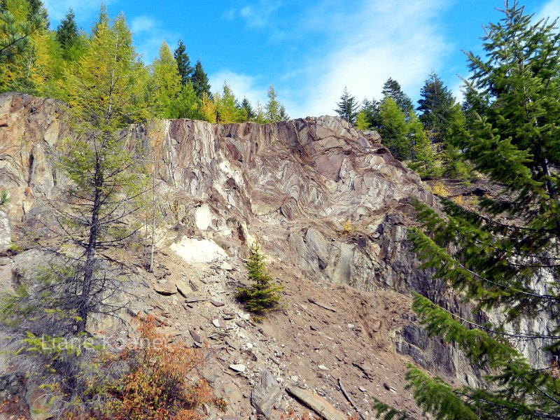 Fall in Idaho