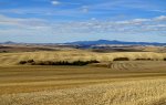 Palouse farming