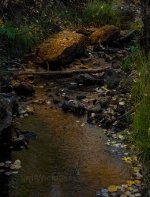 Fall comes to Colorado