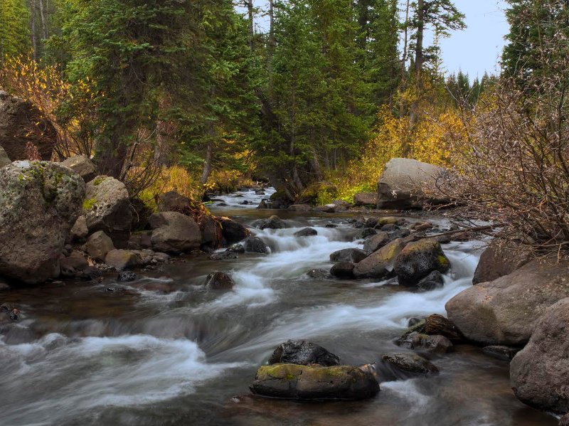 Fall colors in Colorado