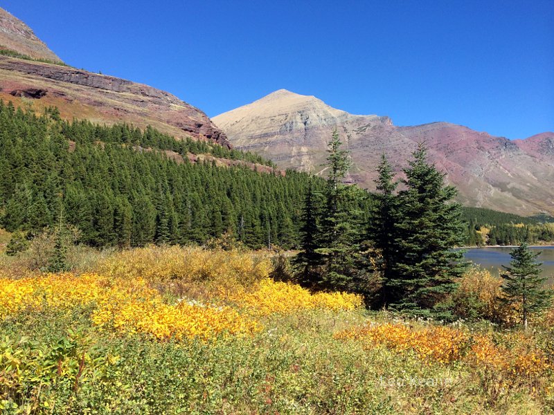 Red Rock Lake in Glacier National Park, Montana