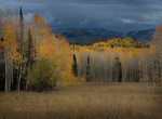 Near Dunckley Pass, CO.