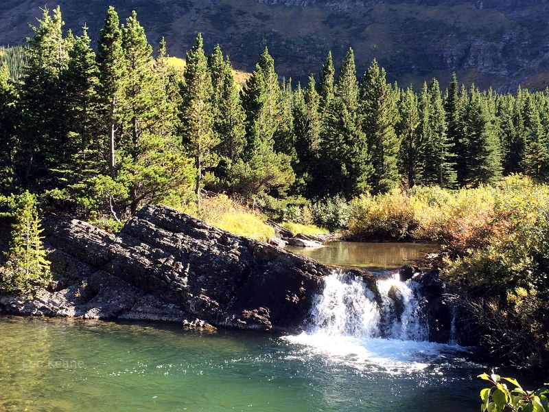 Swiftcurrent Creek in Glacier National Park