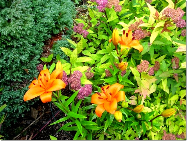 Flower bouquet in British Columbia