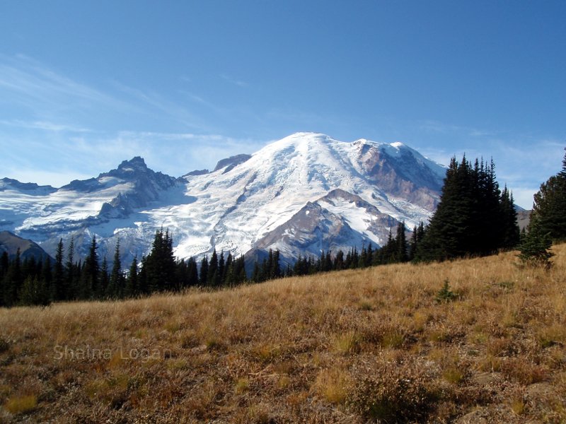 Mount Rainier