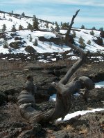 Lava flow near Craters of the Moon