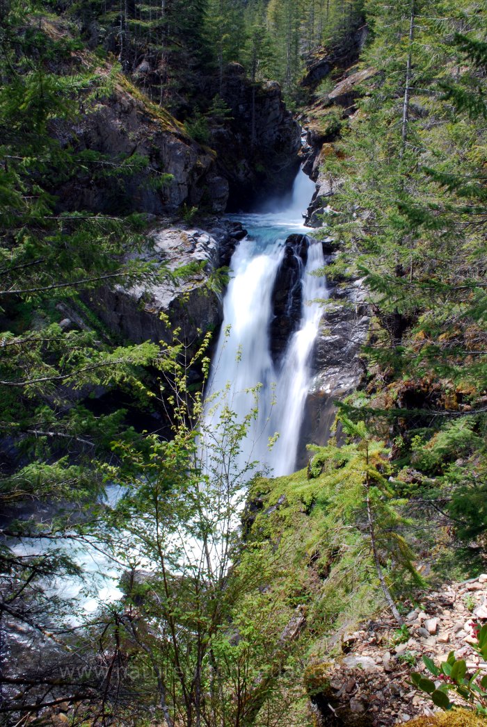 Waterfall on the Olympic Peninsula in Washington State