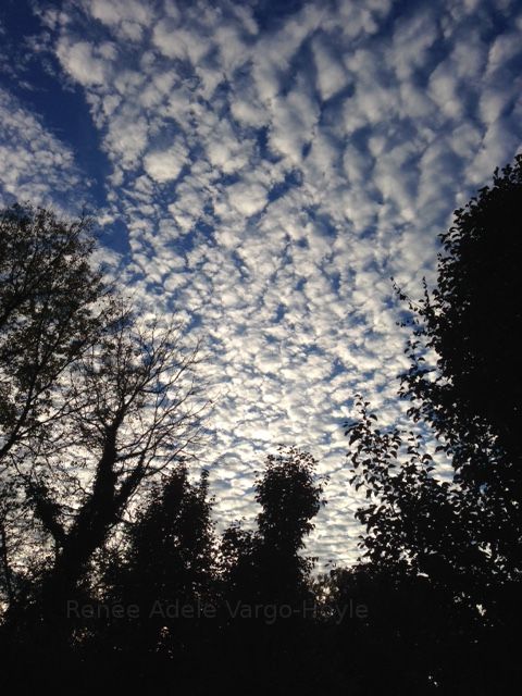 Cloud filled sky