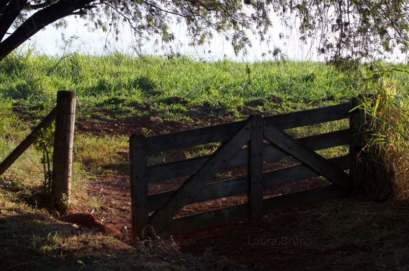 Gate access to a field in Brazil