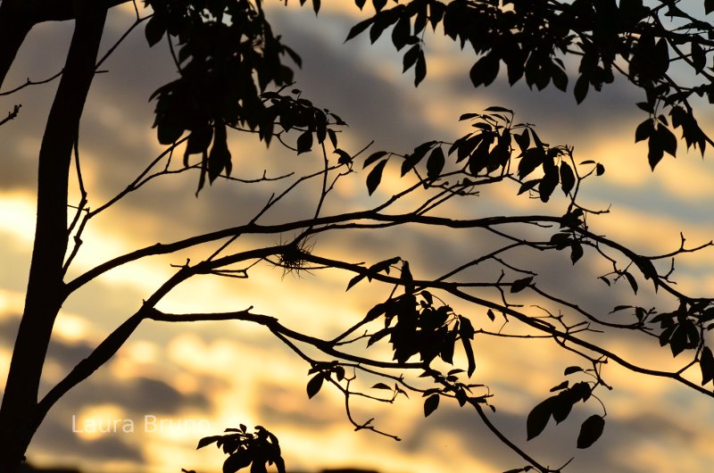 Sunlight illuminating clouds