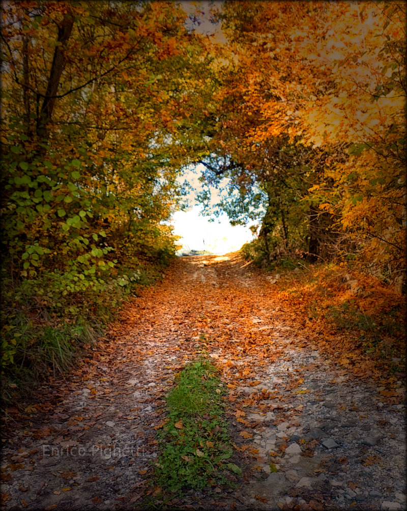 Country road in Italy