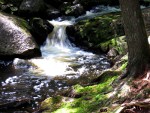 Tributary of the Boundary Waters