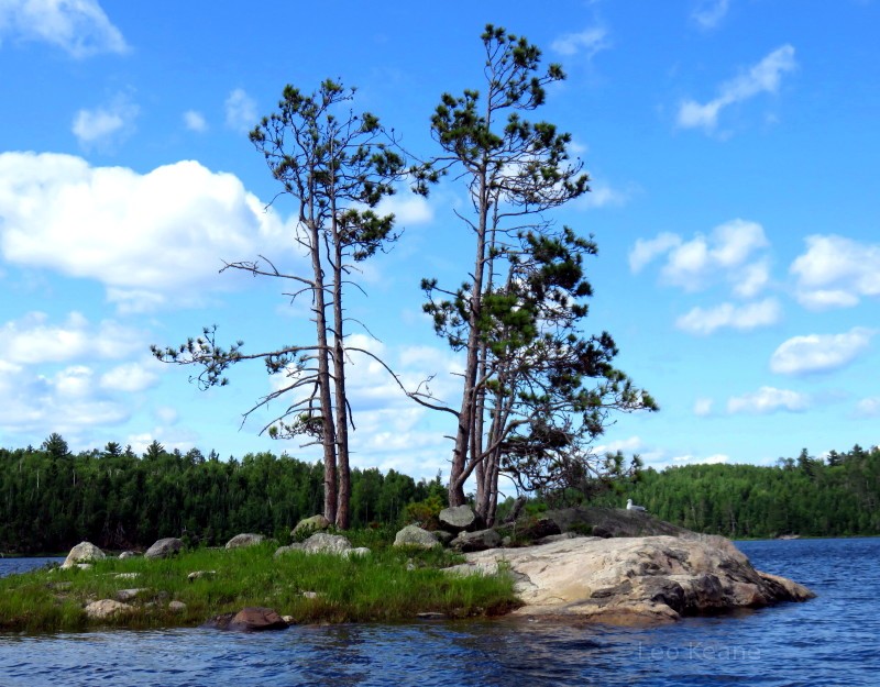 Island in Minnesota