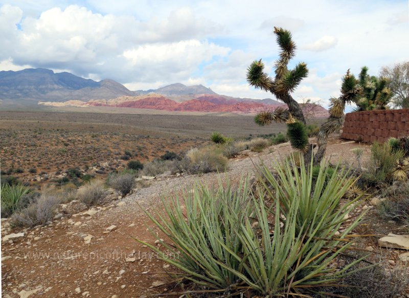 Red Rock Canyon near Las Vegas, Nevada