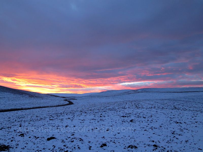 Sunrise over a winter field.