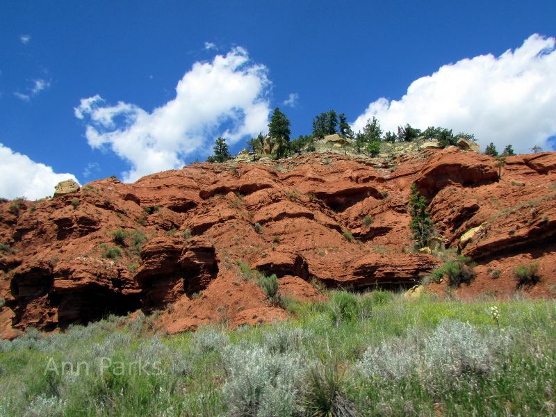 Exposed dirt in Wyoming