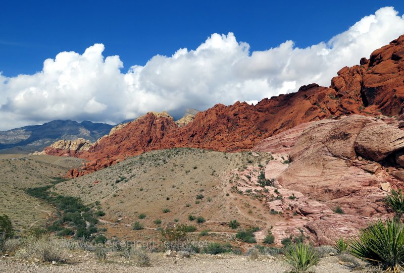 Red Rock Canyon near Las Vegas, NV